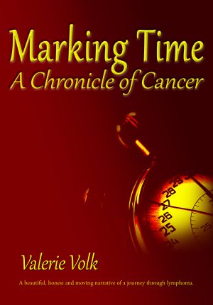 cover of book